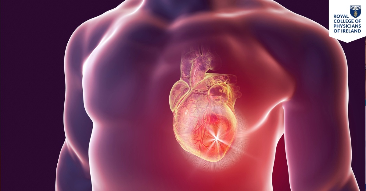 Hubspot Fellowship Landing Page Images (1)-1