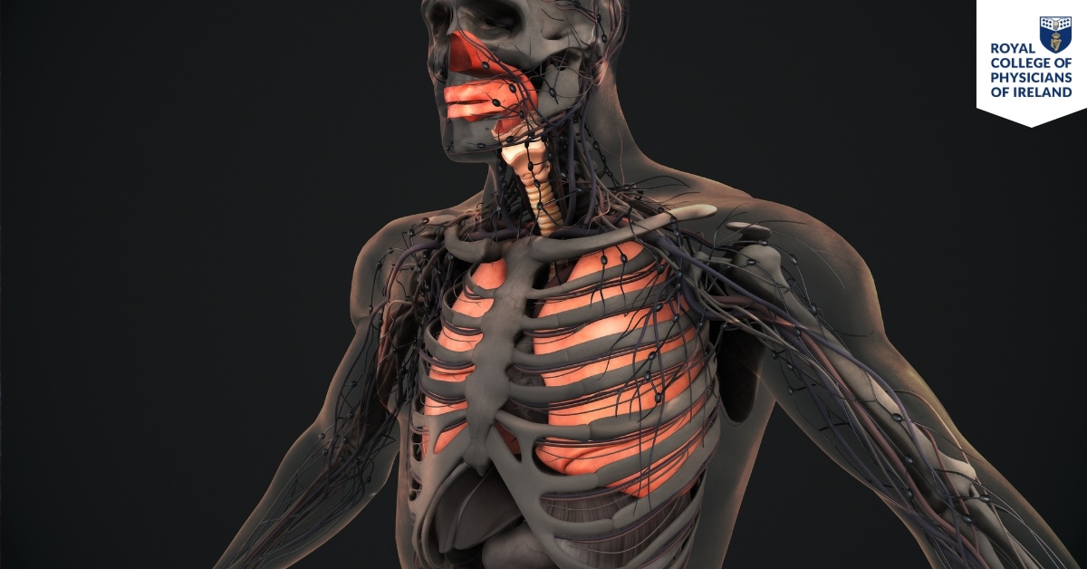 Hubspot Fellowship Landing Page Images (1)-2