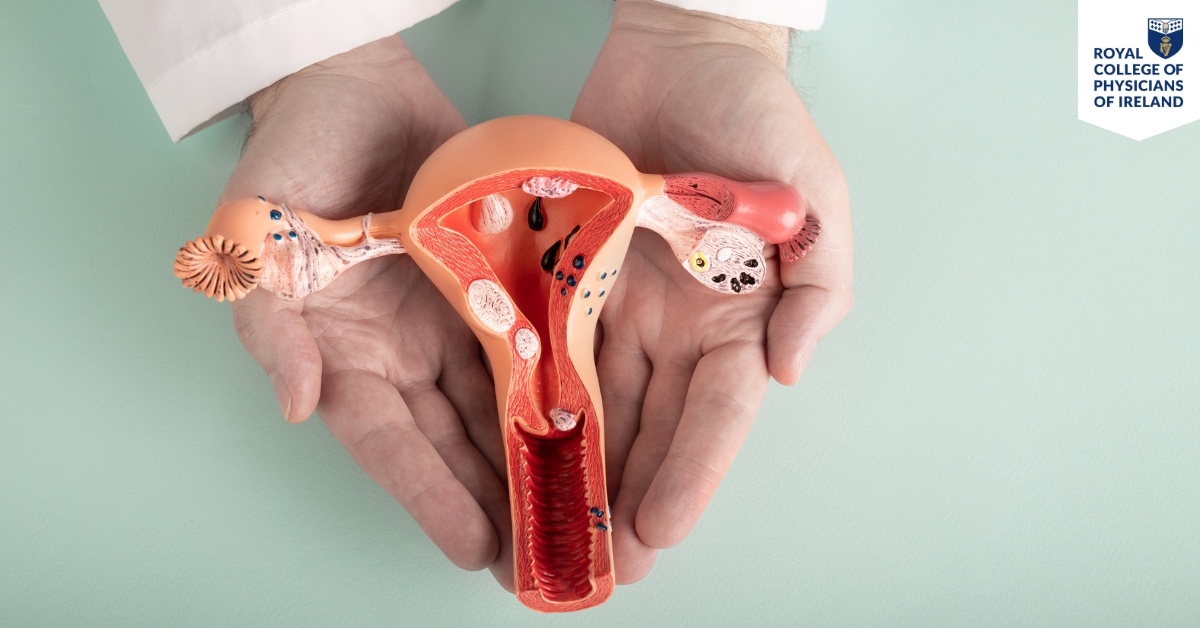 Hubspot Fellowship Landing Page Images (13)-1