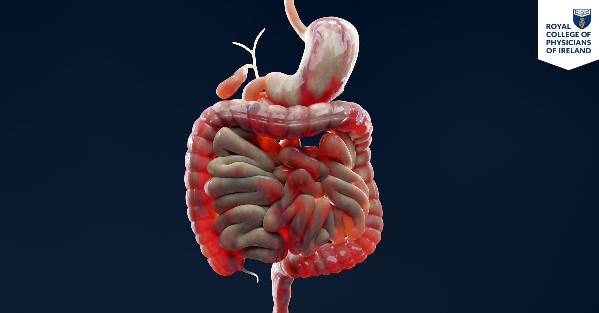 Hubspot Fellowship Landing Page Images (33)