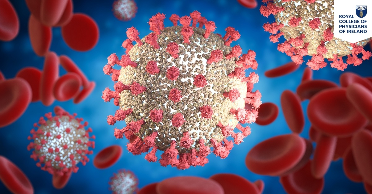 Hubspot Fellowship Landing Page Images (6)-1