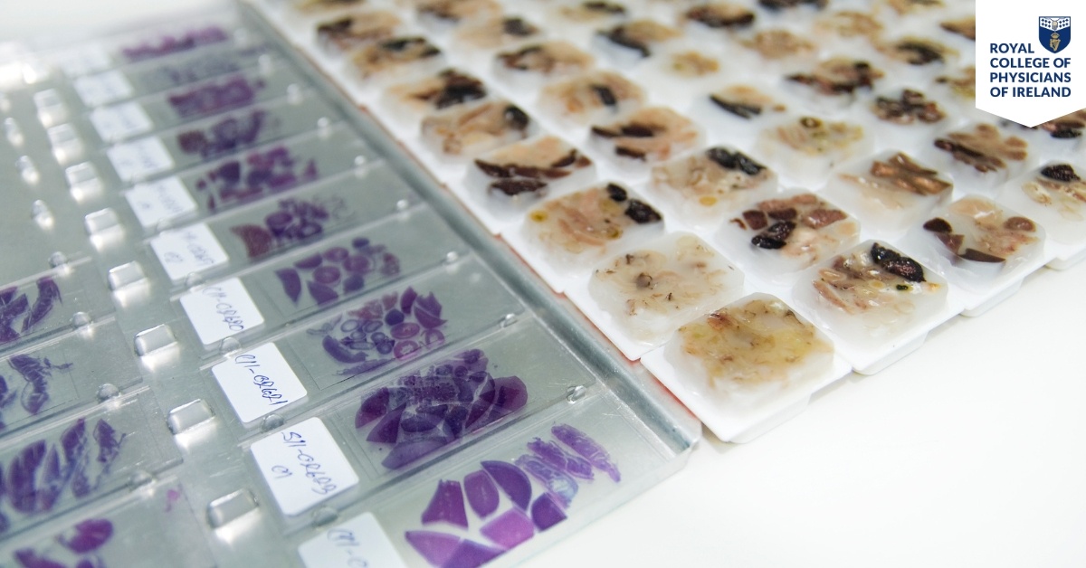 Hubspot Fellowship Landing Page Images (6)