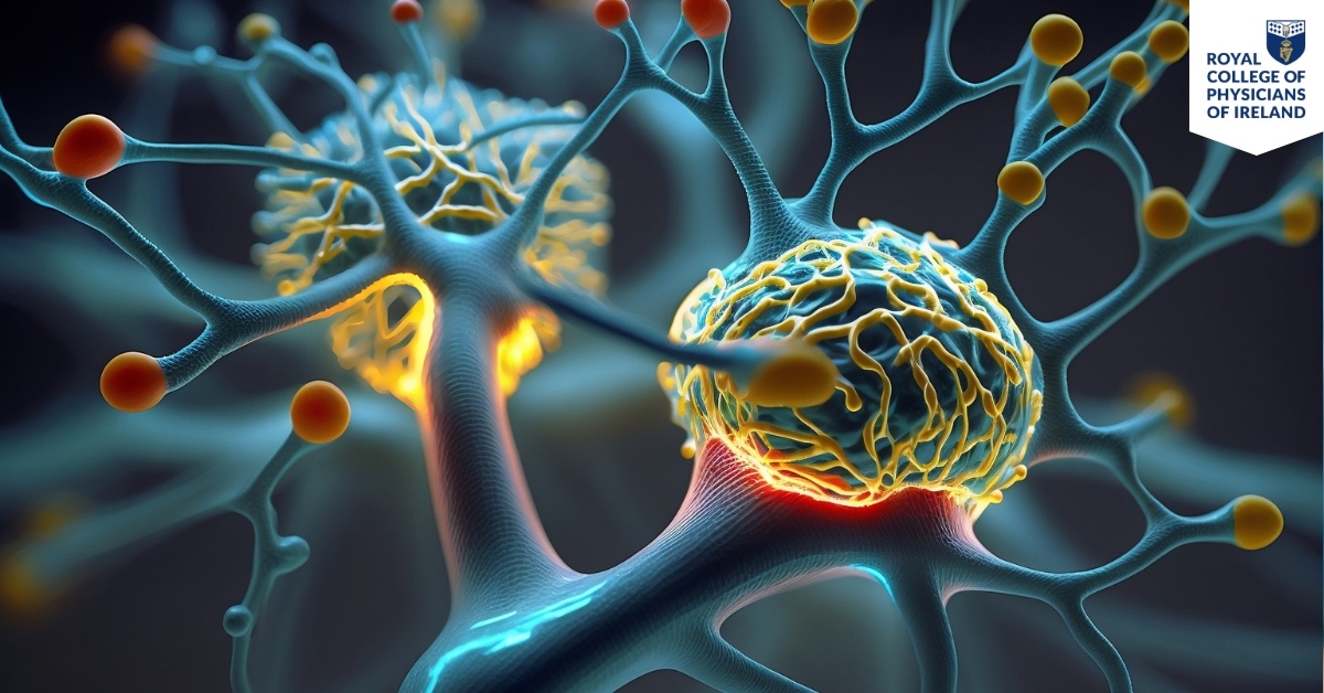 Hubspot Fellowship Landing Page Images (8)-1